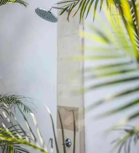 Deluxe Tropical 6 Bedroom Near *